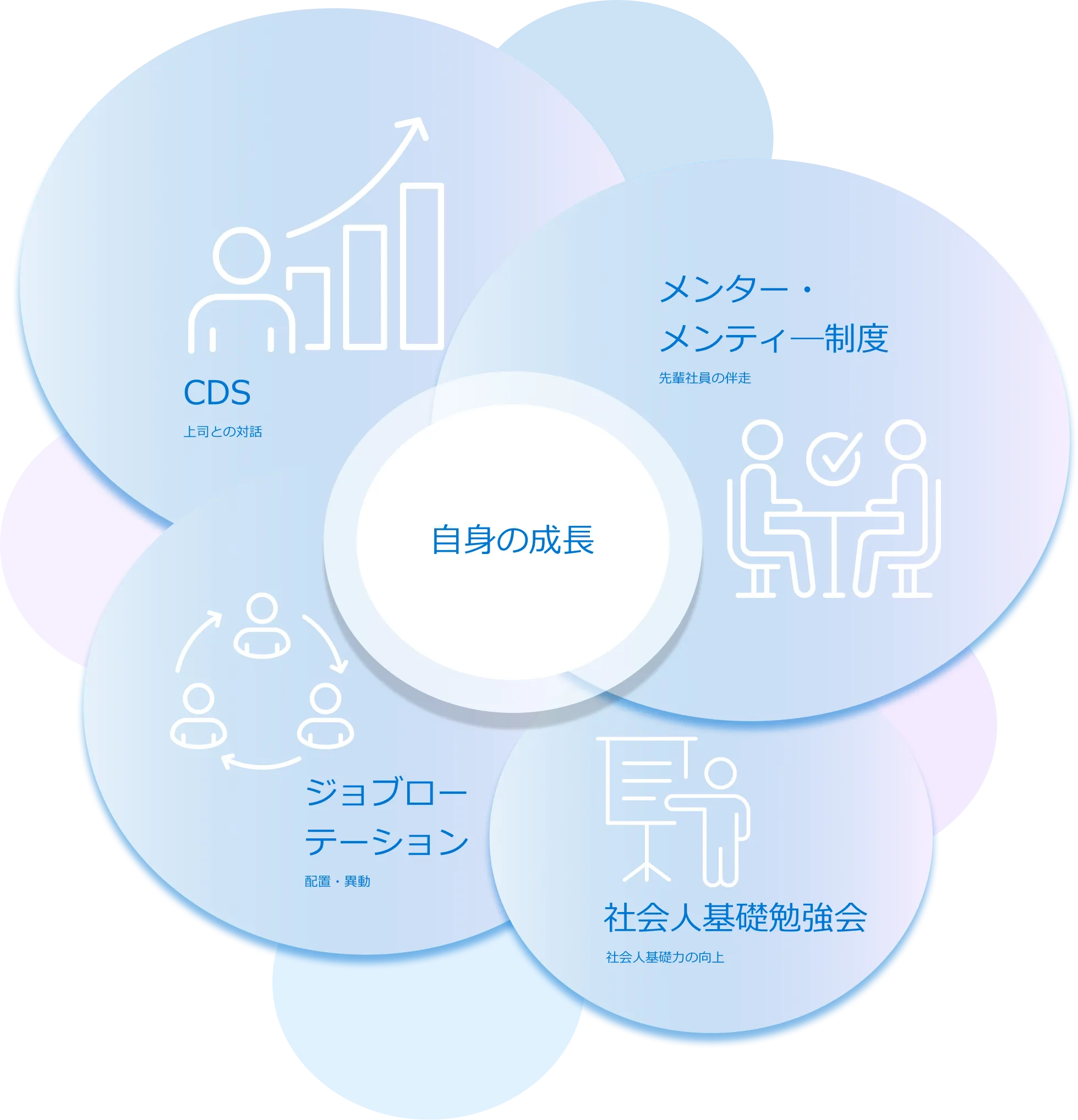 Career Plan